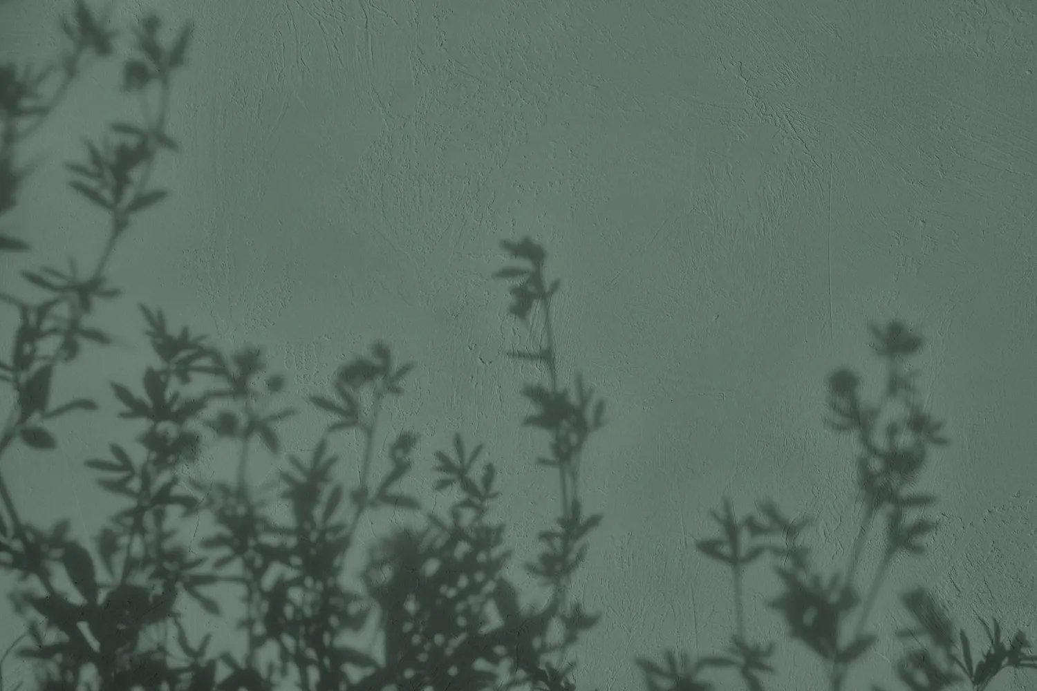 Šalavijų žalia spalva