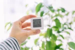 Temperatūra ir drėgmė namuose