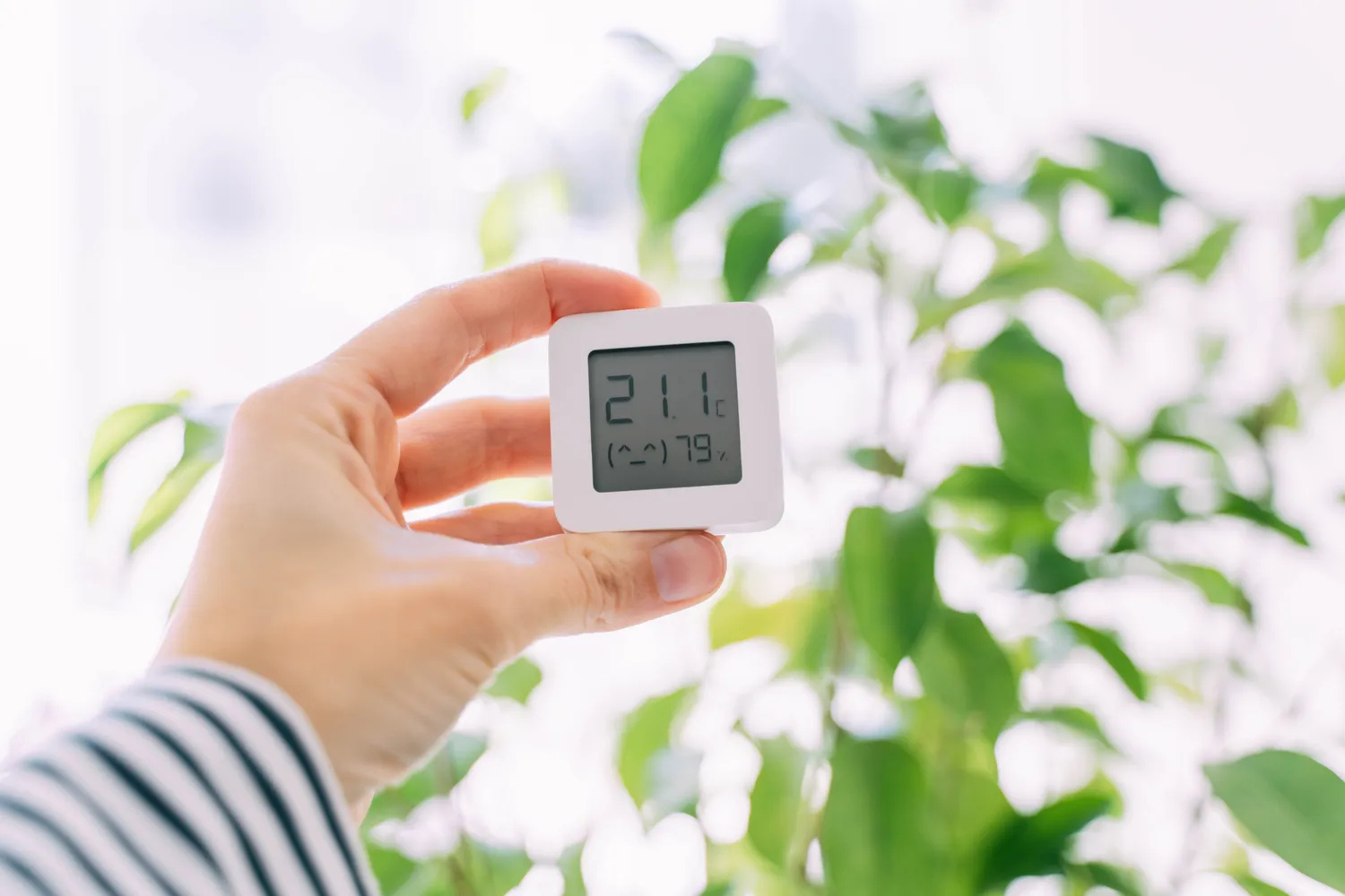 Temperatūra ir drėgmė namuose
