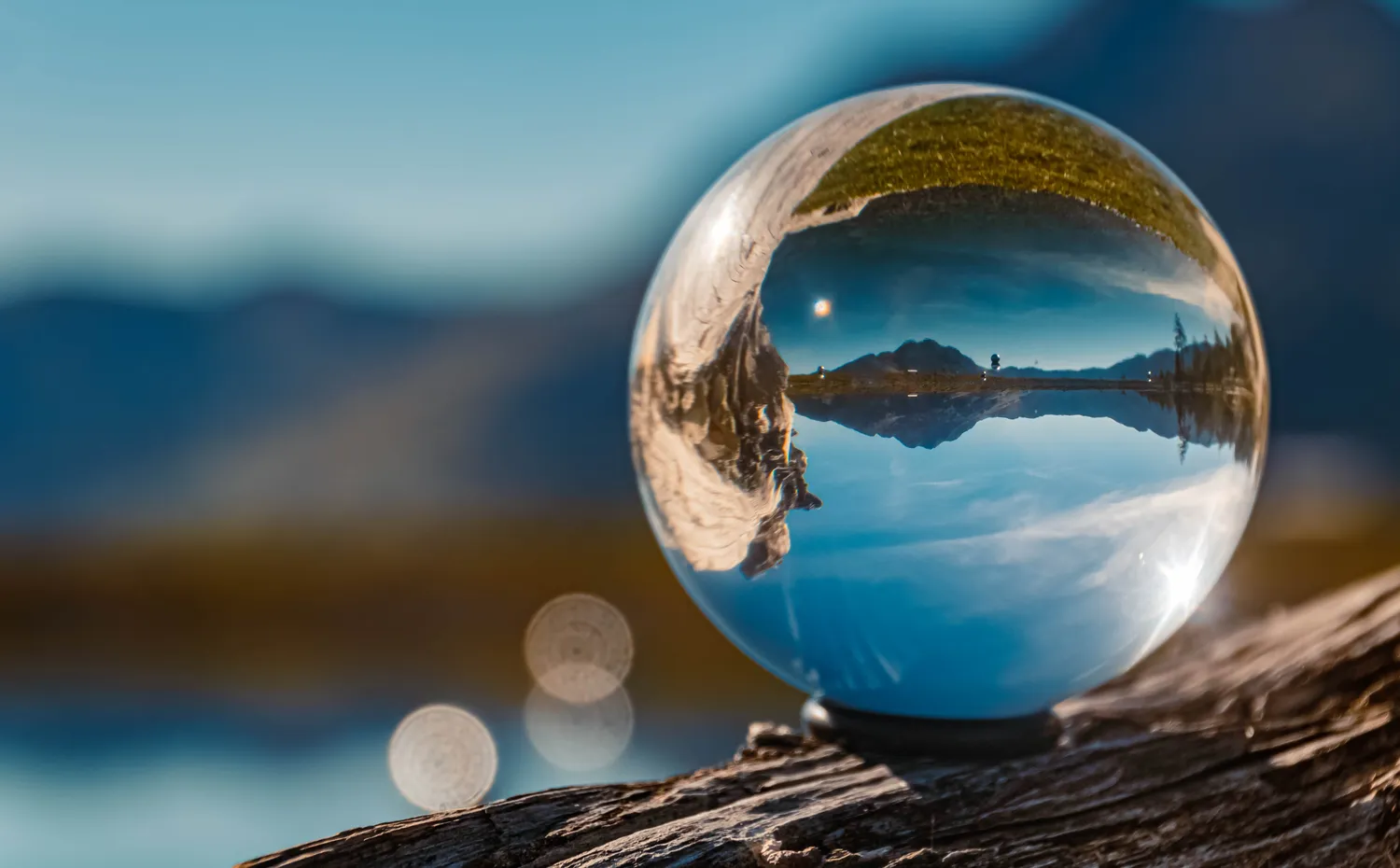 Ar galima numatyti ateitį?