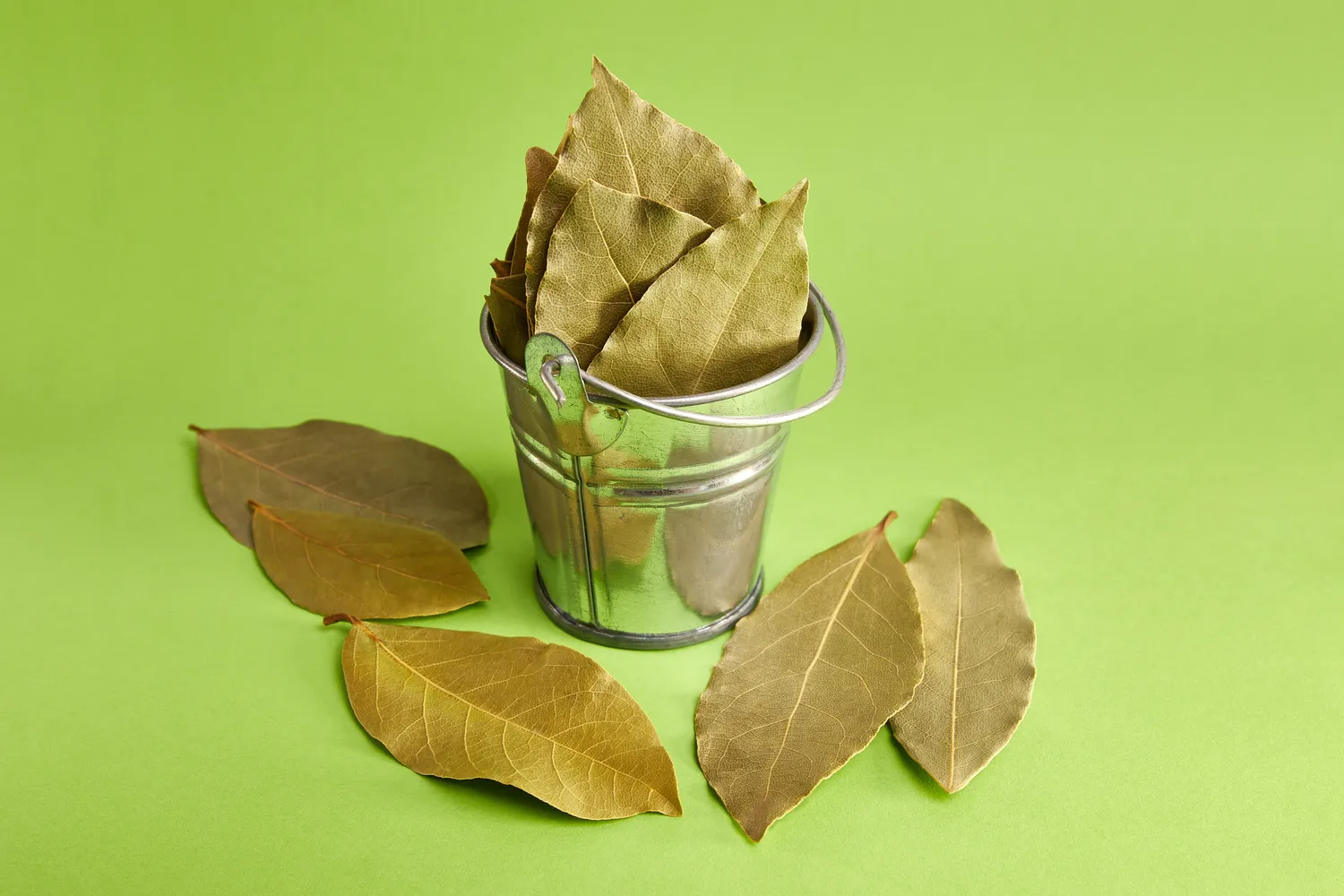 lauro lapas neutralizuoja kvapus