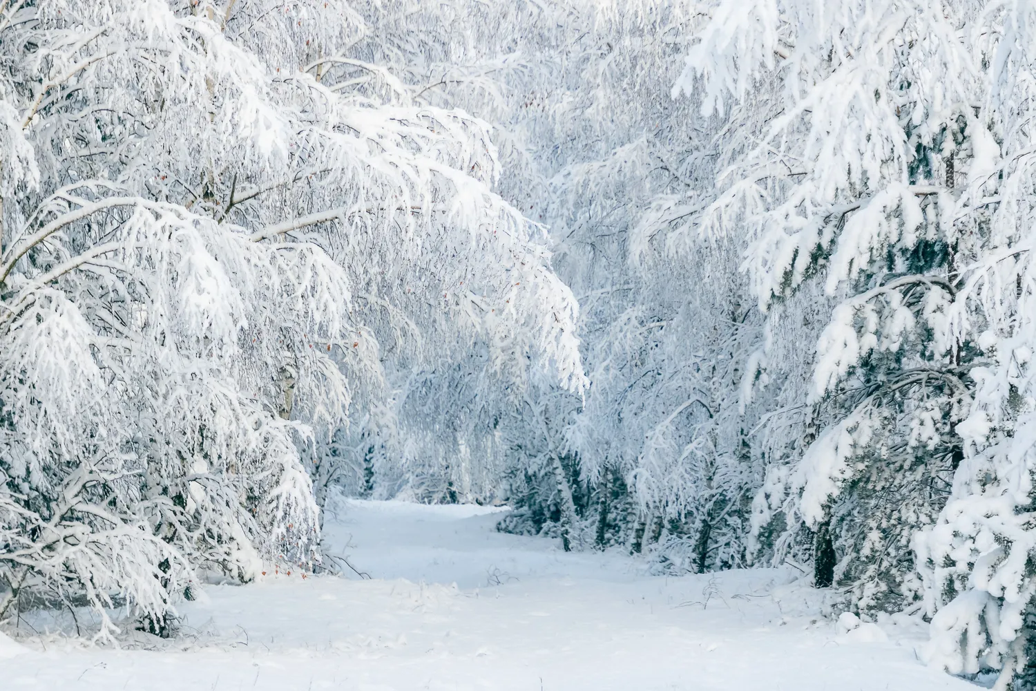 Sulauksime daugiau sniego