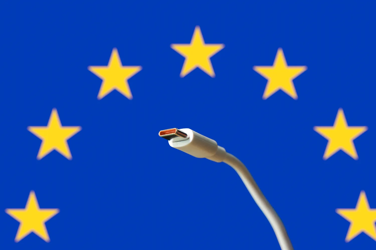 Shutterstock 2313116709