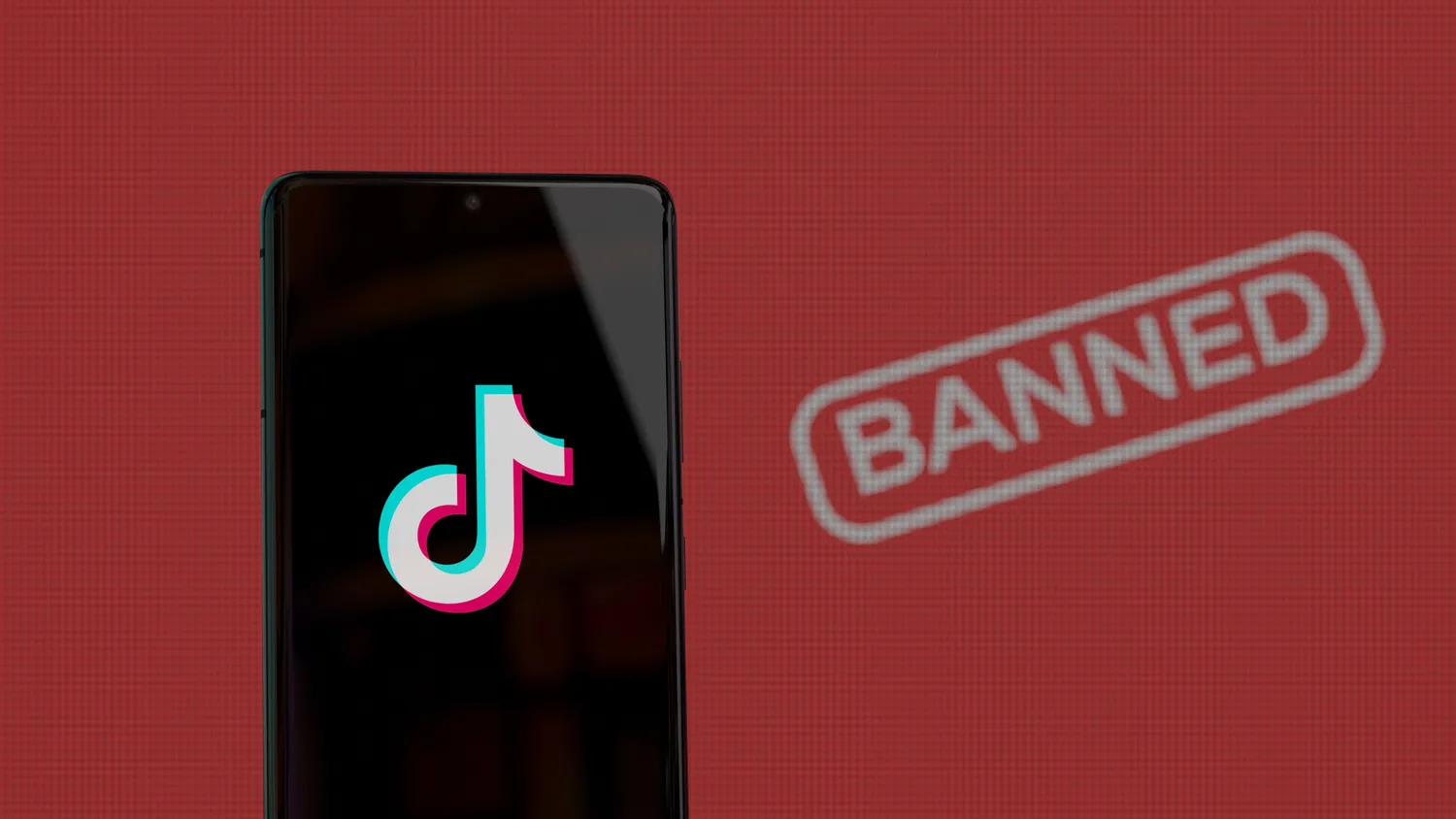 TikTok blokavimas / Temitiman / Shutterstock.com