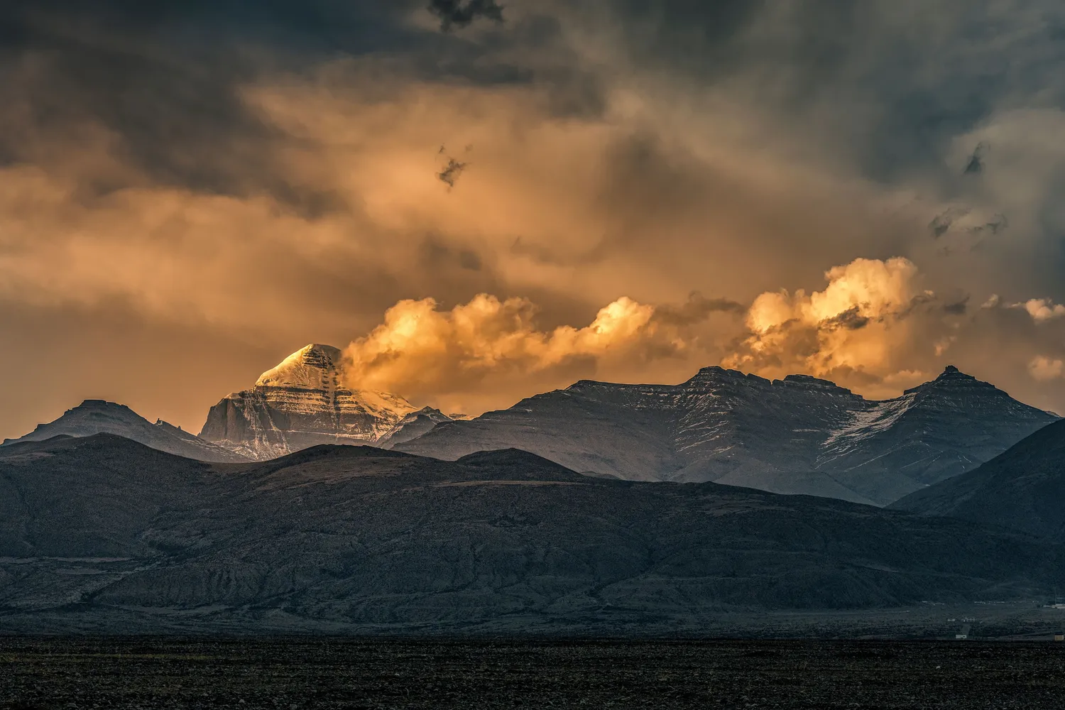 Shutterstock 2337180279