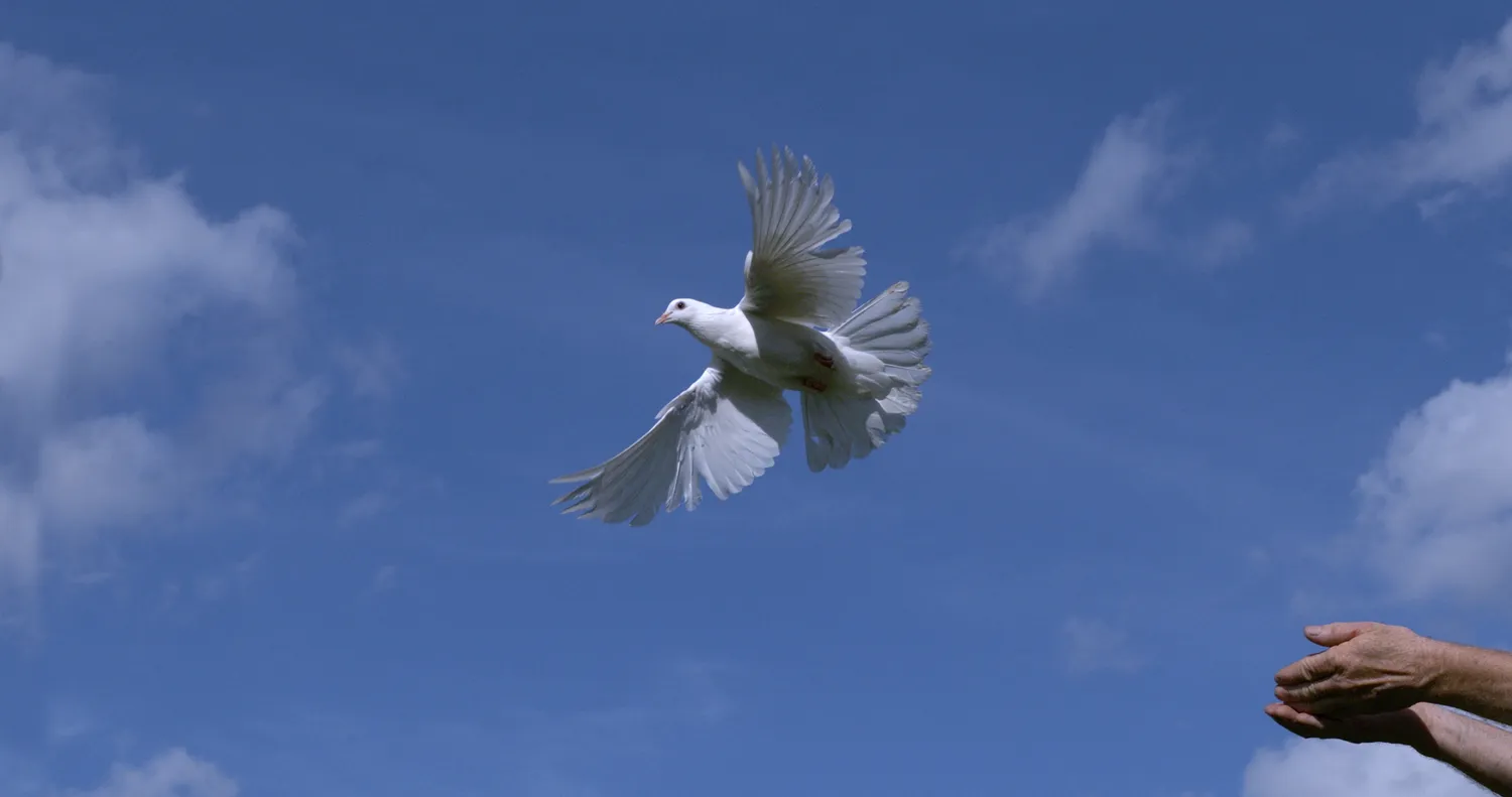 Gauta nuostabi žinia