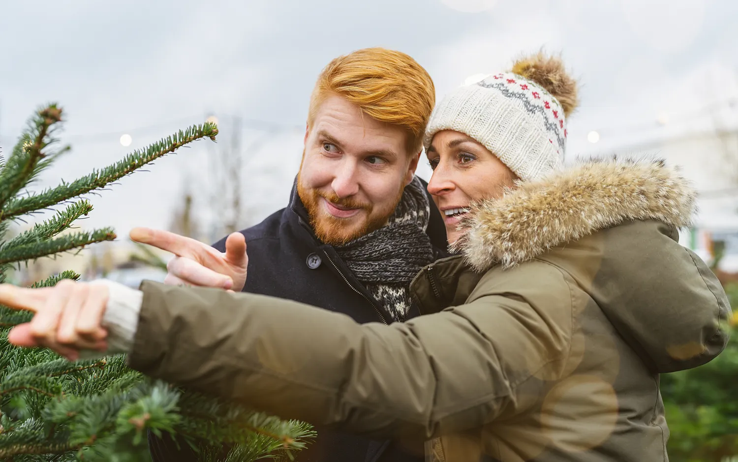 Kaip išsirinkti gerą gyvą eglutę?