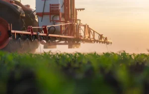 Shutterstock 2424349141