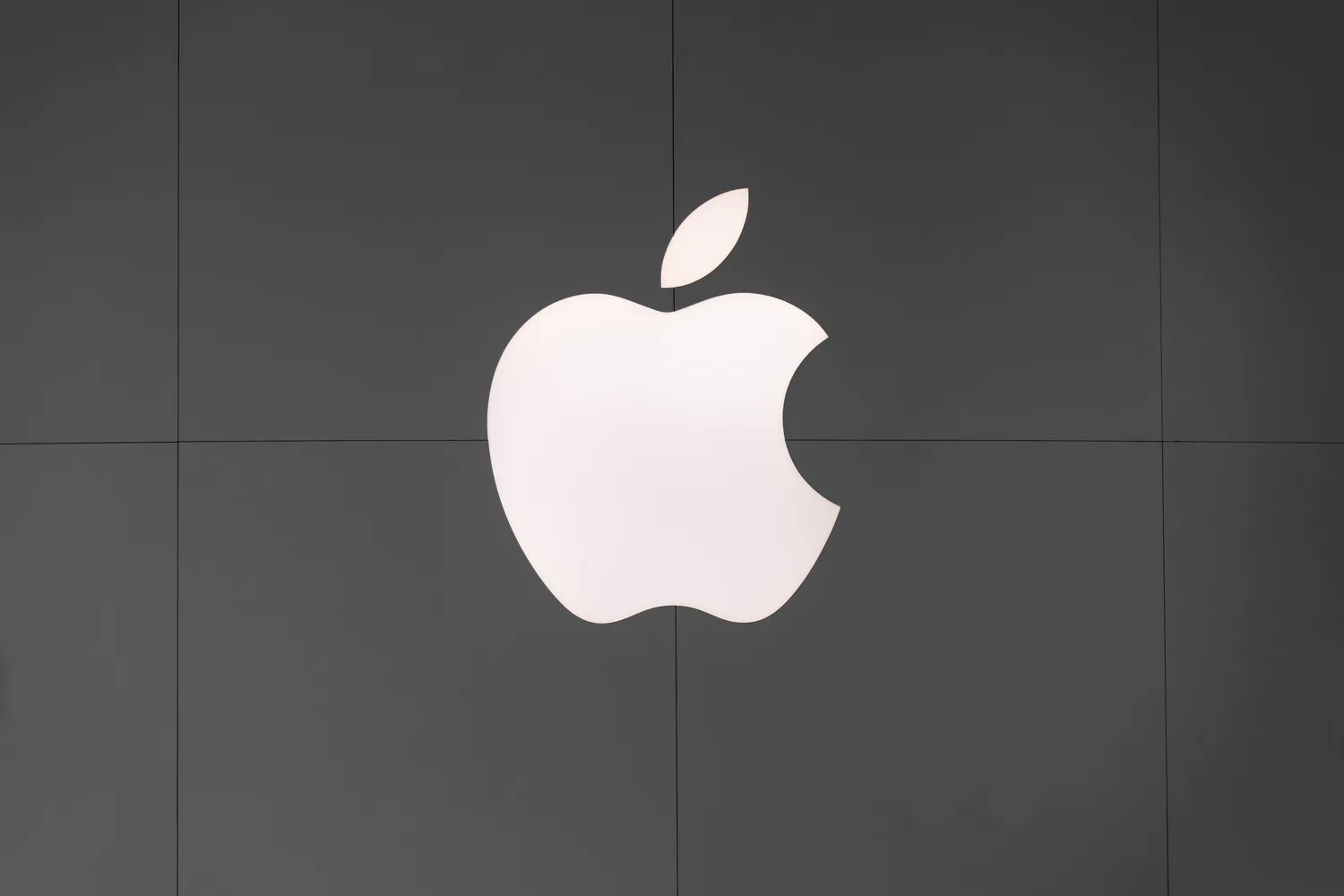 Apple lyderė / umitc / Shutterstock.com