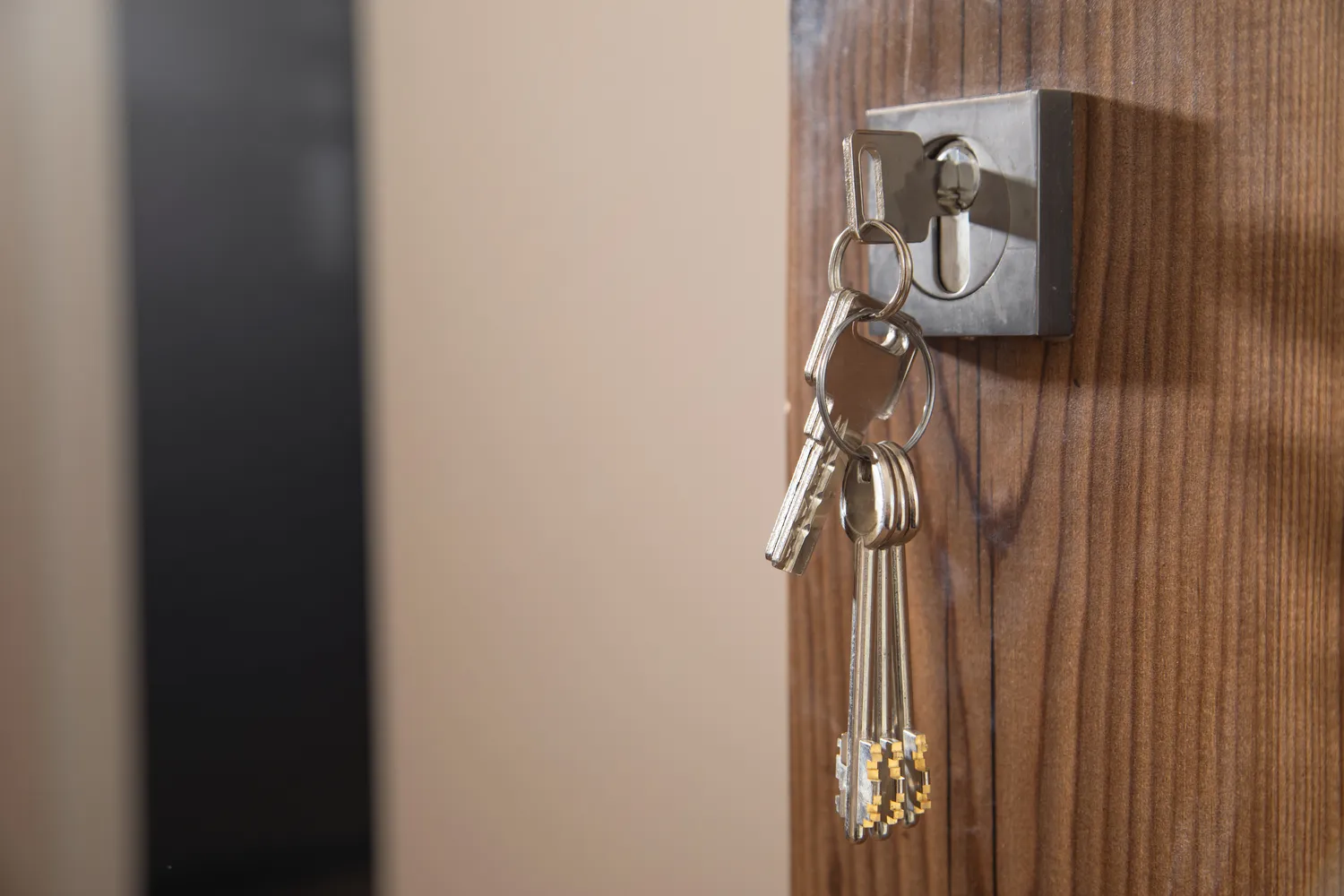 Raktai durų spynoje