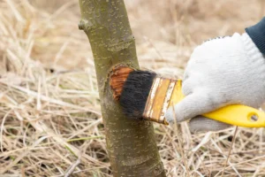 Shutterstock 2463825131