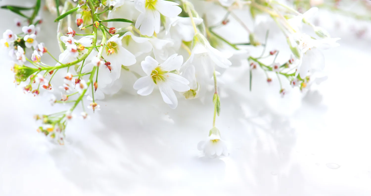 Viena pavasario diena gali atskleisti visų metų orus