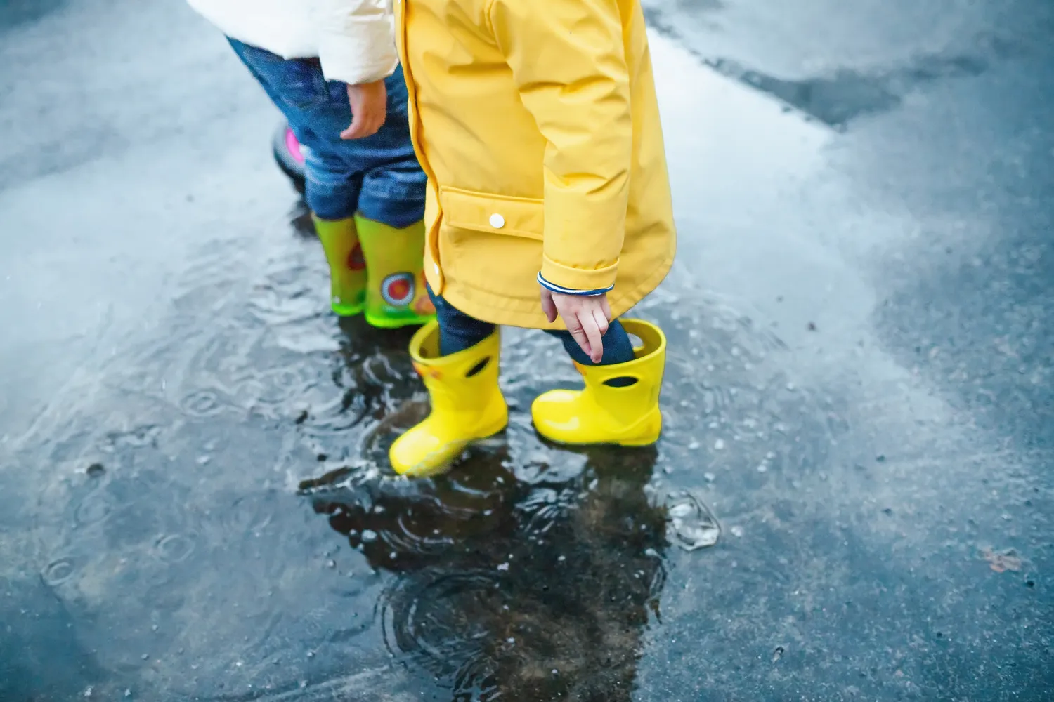 Kokio pavasario tikėtis?