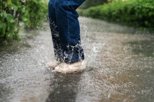 Ar pavasaris bus lietingas?