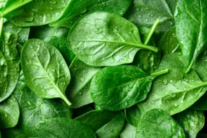 Skanios salotos lieknėjimui