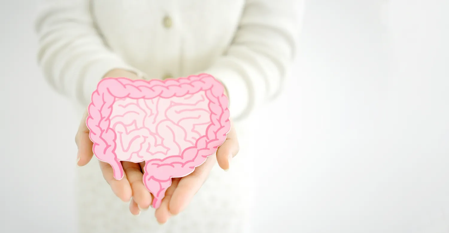 Prebiotikai žarnynui