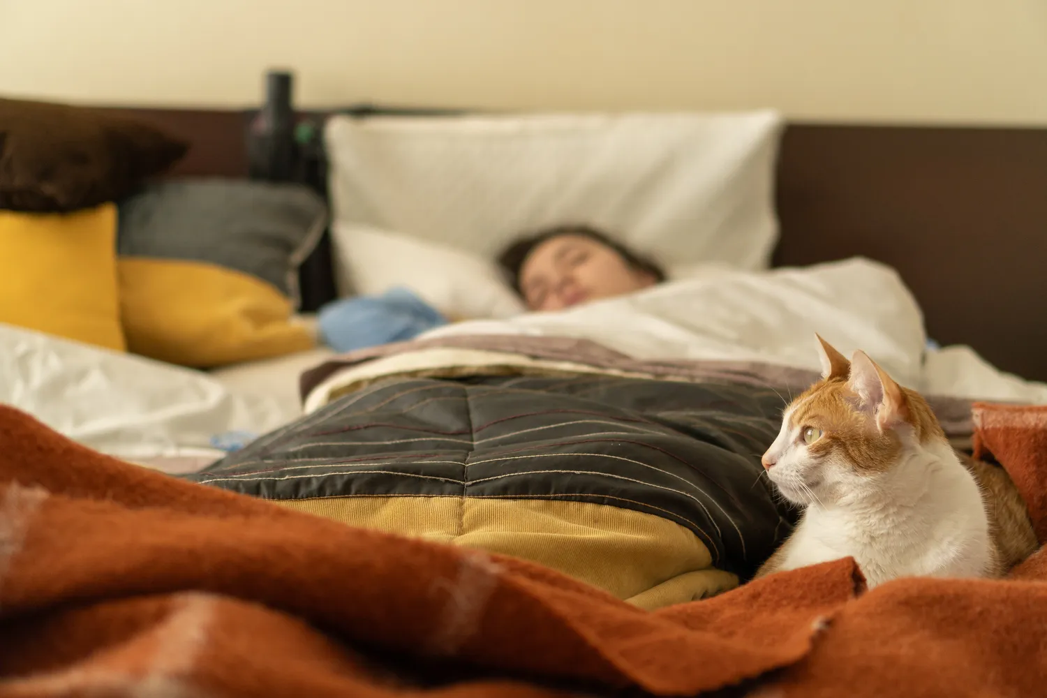 Miegoti su kate vienoje lovoje nerekomenduojama