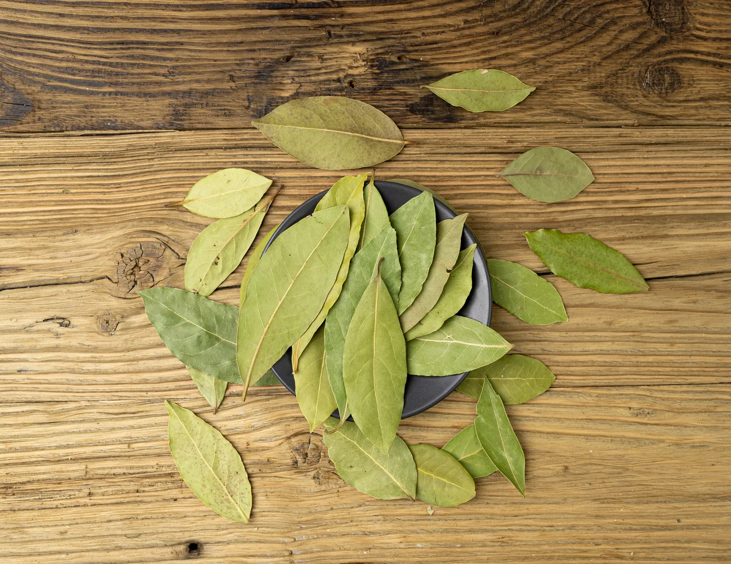 Nuostabusis lauro lapas