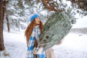 Gyva eglutė jūsų namuose