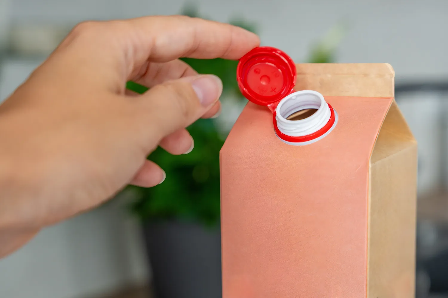 Pieno pakuotės išmetimas