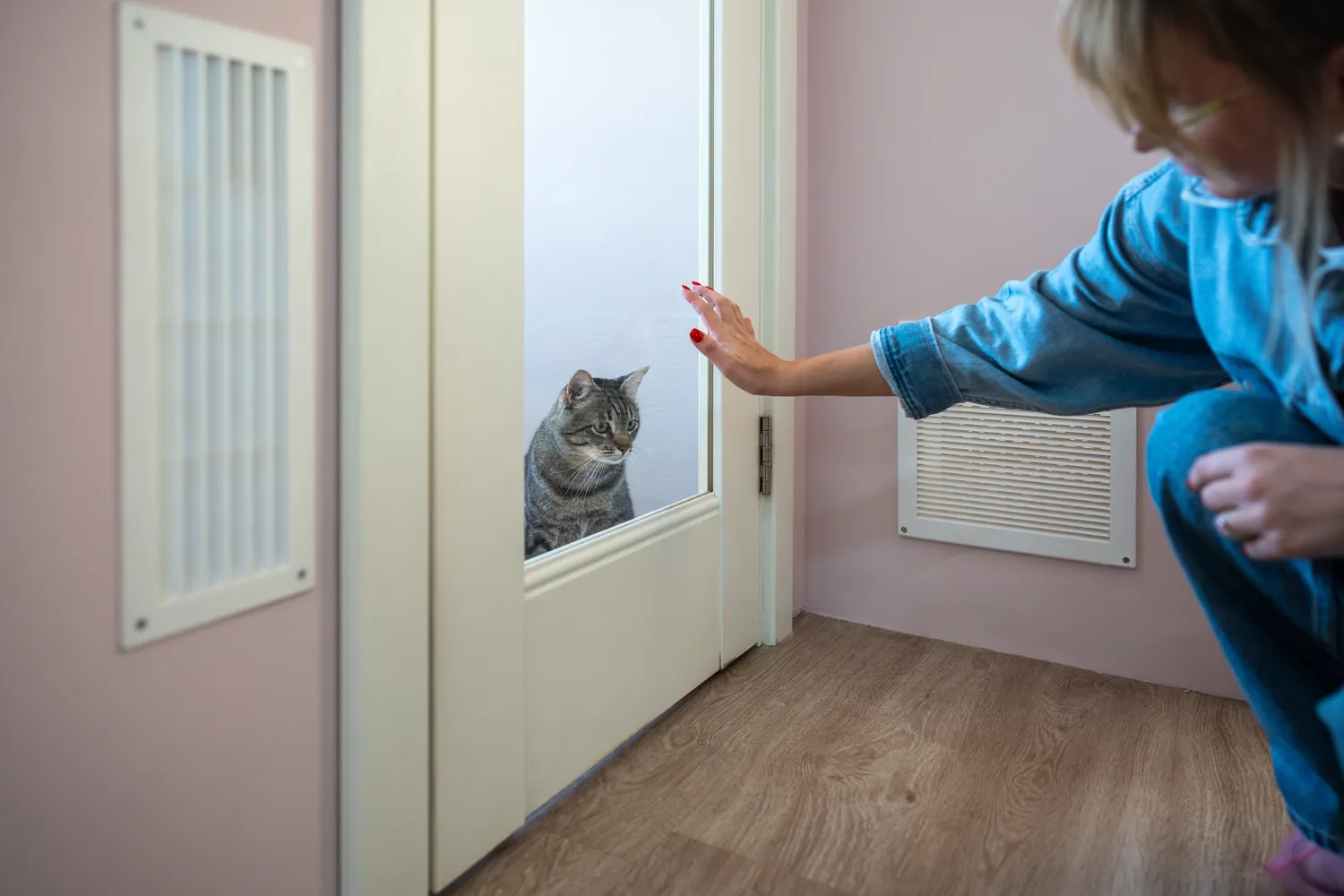 Katė jūsų visada laukia