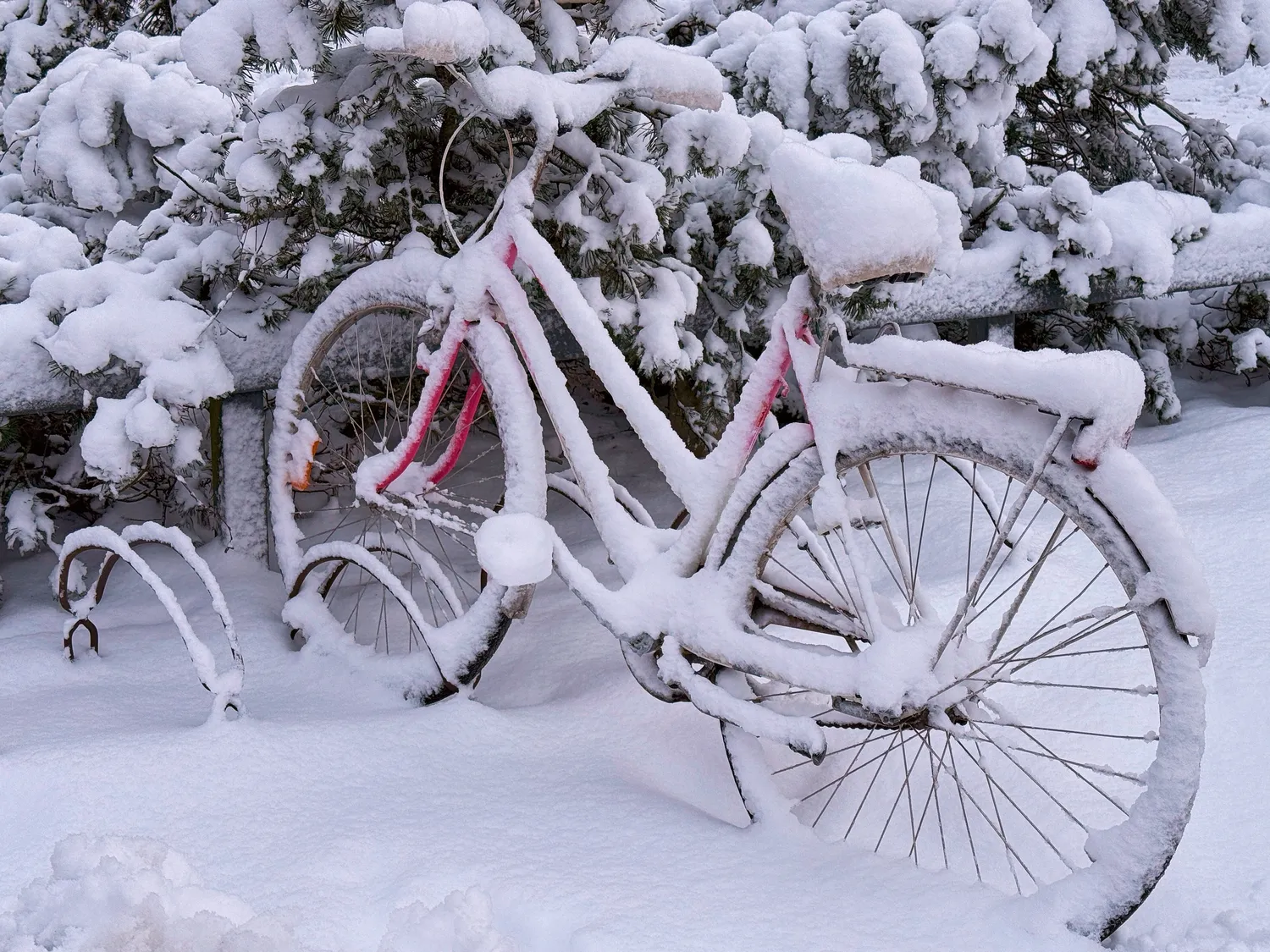 Ar šią žiemą turėsime sniego?
