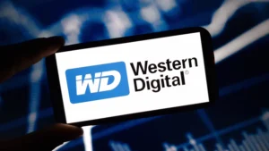 WD / Piotr Swat / Shutterstock.com