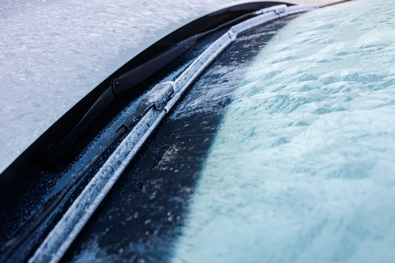 Šerkšnas ant automobilio lango