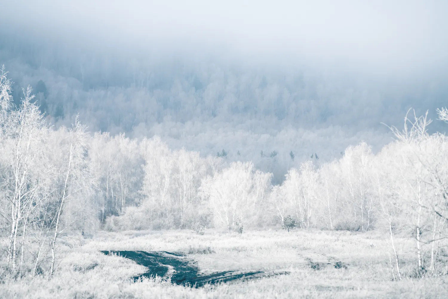 Lietuvą gali pasiekti arktinis šaltis