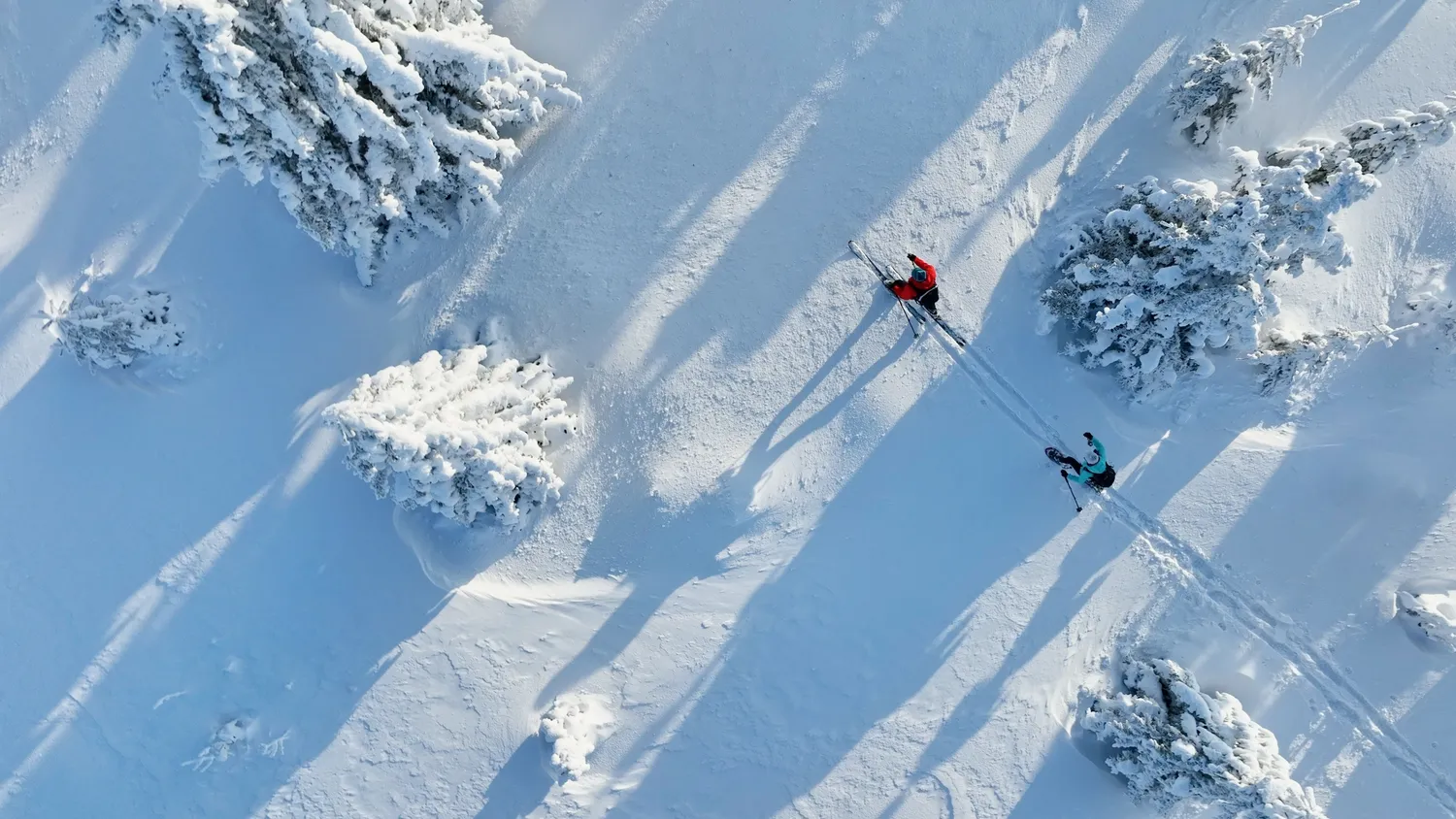 Kalėdos gali būti baltos