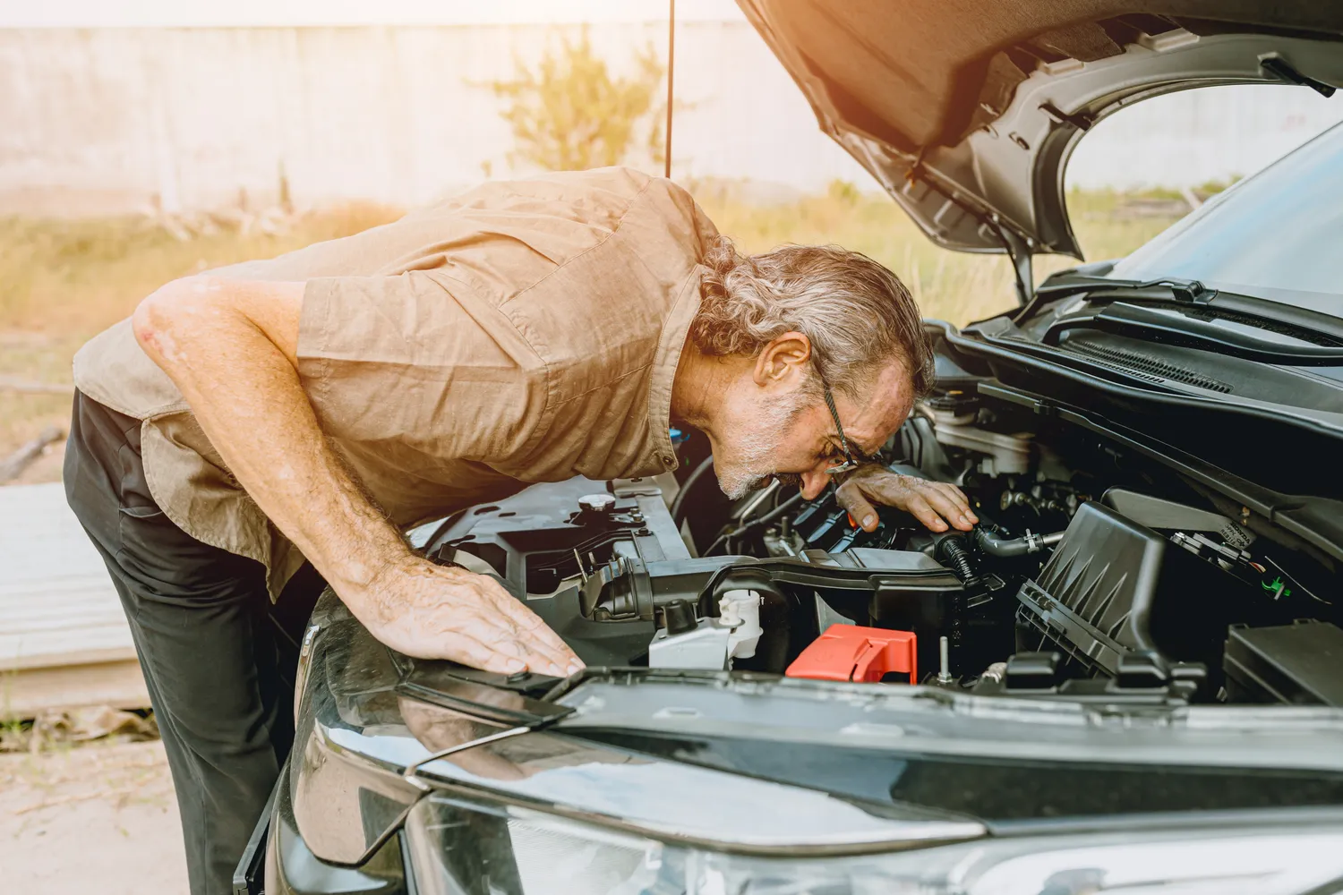 Shutterstock 2565517797