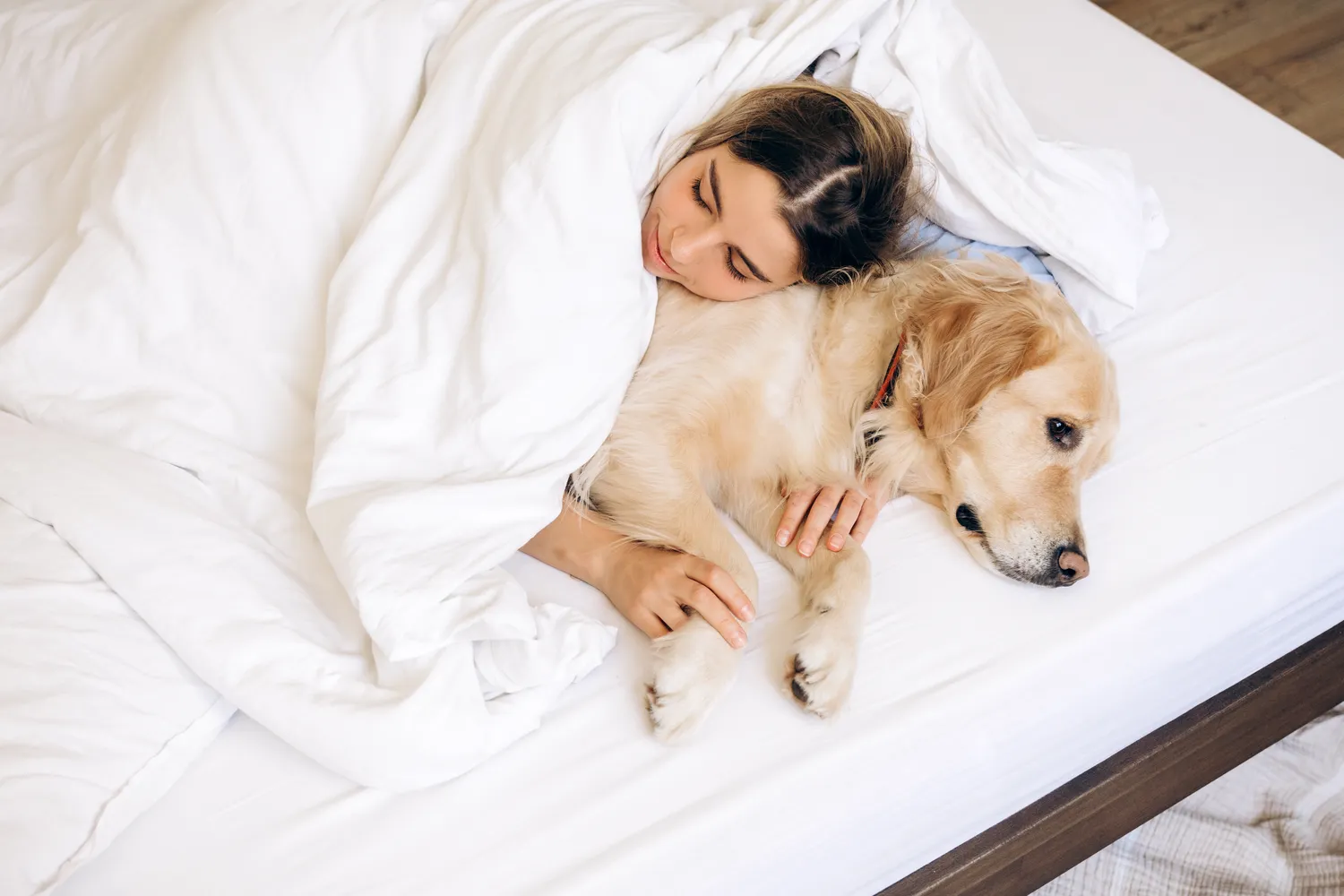 Ar miegoti kartu su šunimi apskritai naudinga