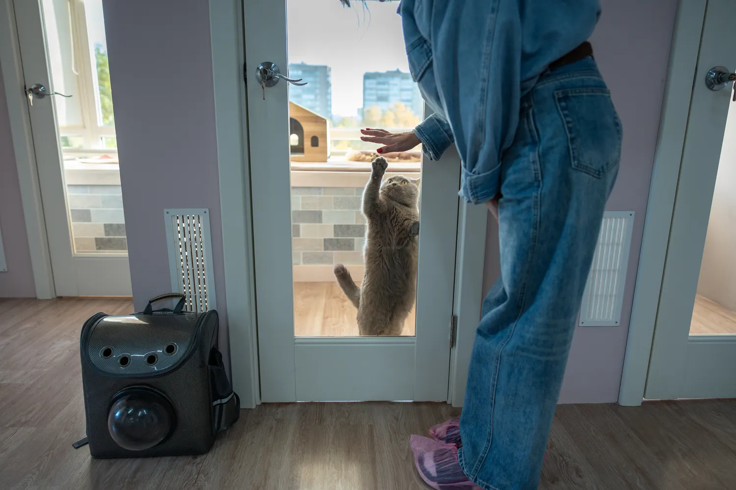 Shutterstock 2578460185