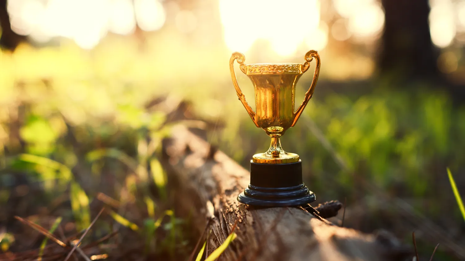 Prizų laimėtojai gruodį