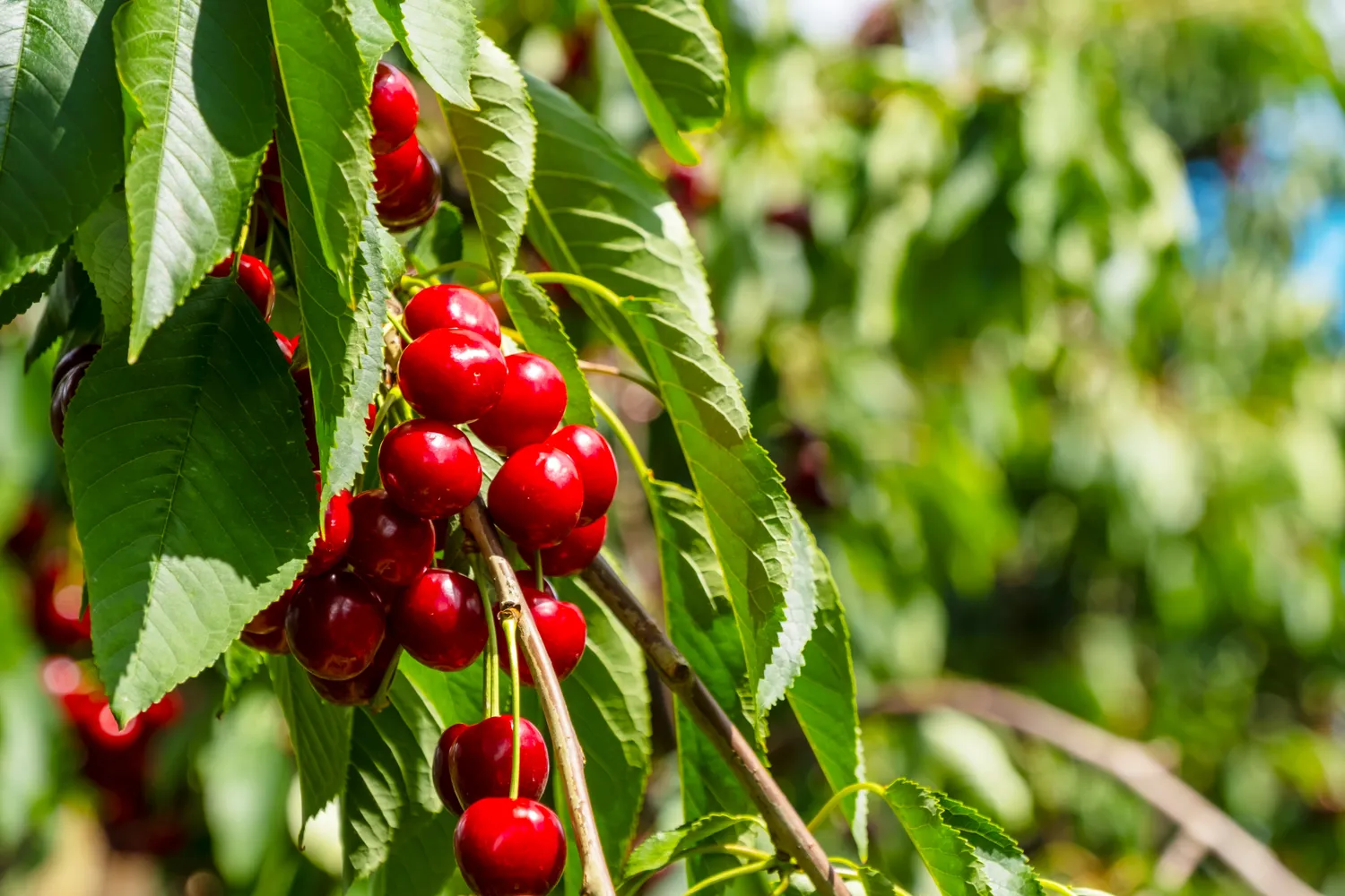 Shutterstock 2592529103