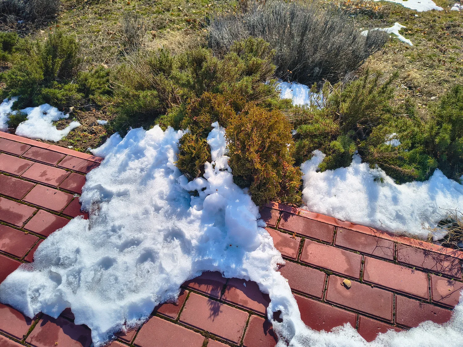 Sniego tirpimas pavasarį