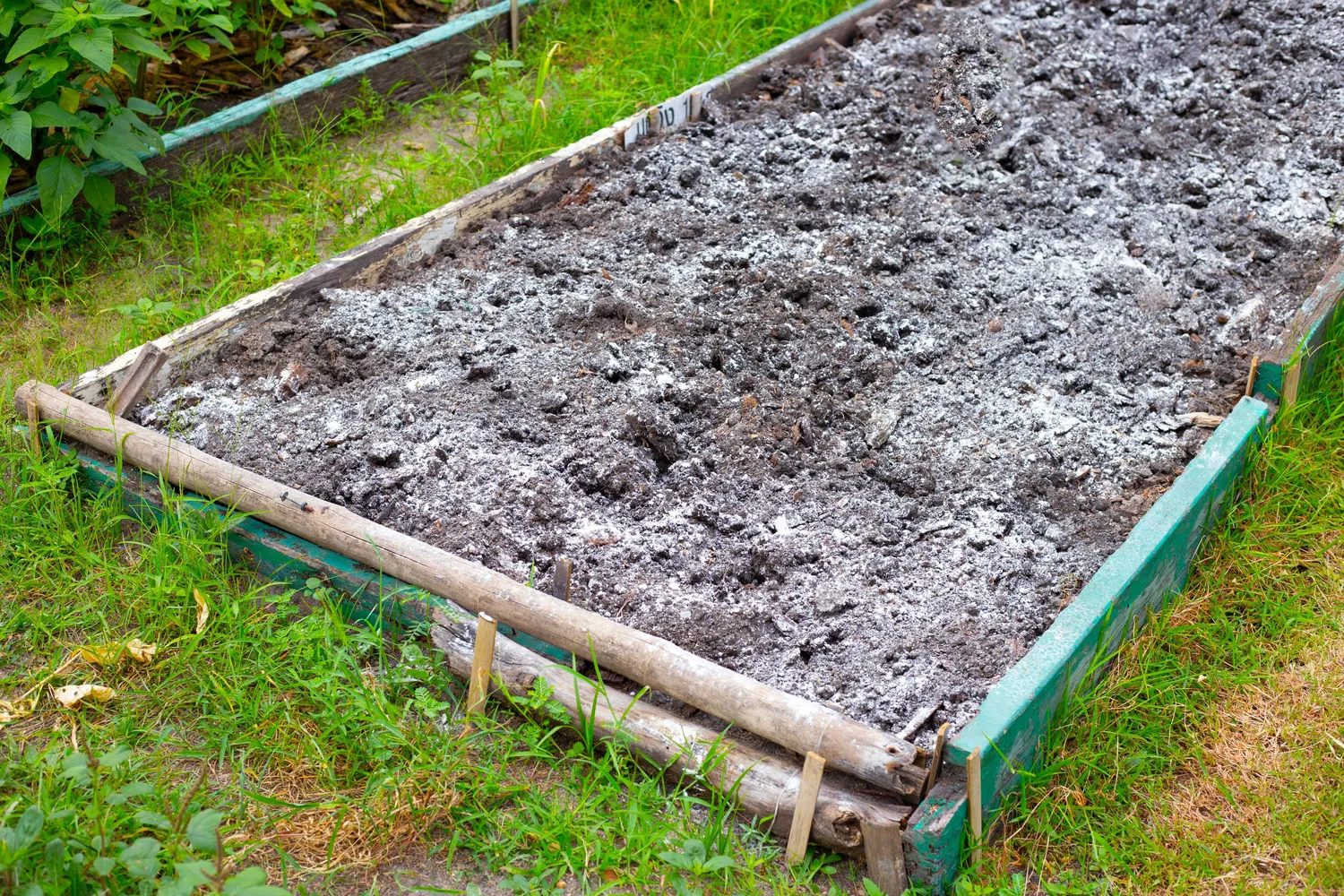 Lysvių tręšimas kaulų miltais