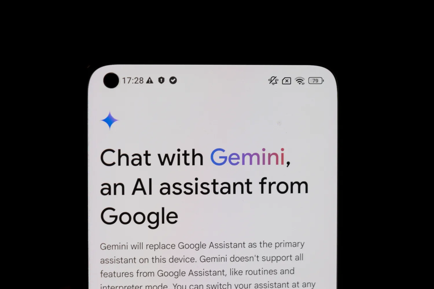Gemini tampa asmeniškesnis / daily_creativity / Shutterstock.com