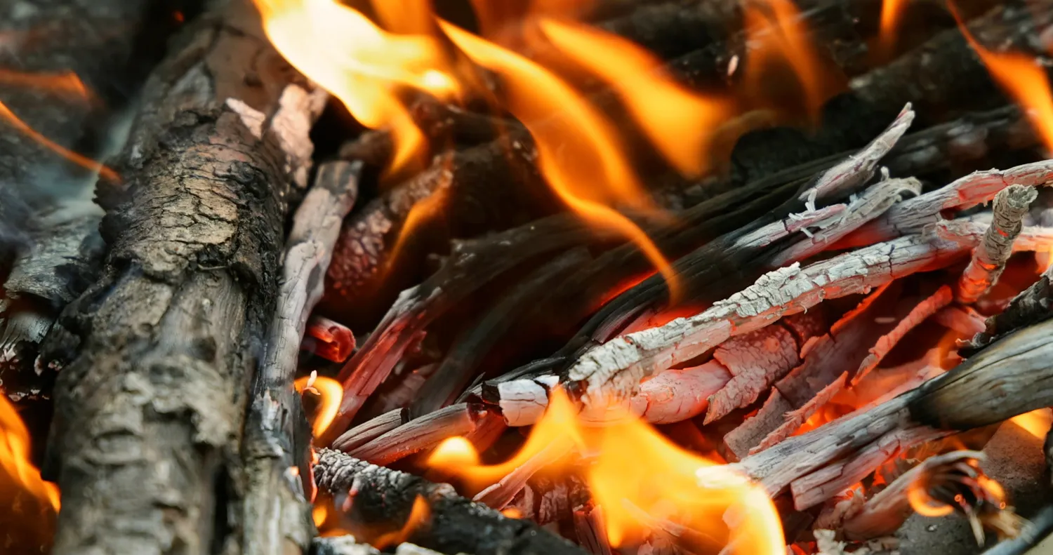 Pelenai iš krosnies