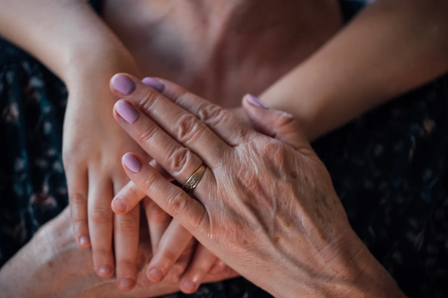 Shutterstock 2626547309