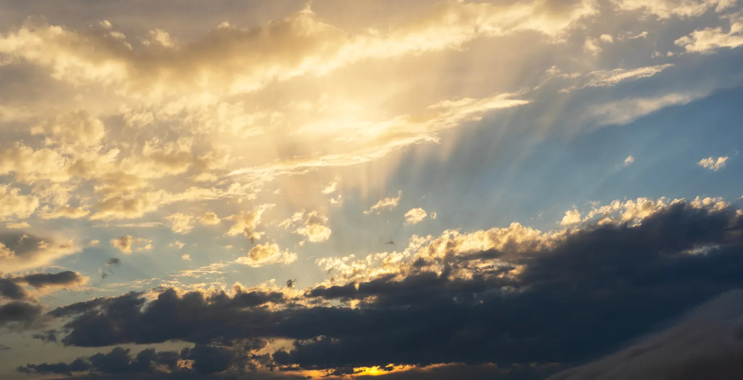 Shutterstock 2643297275