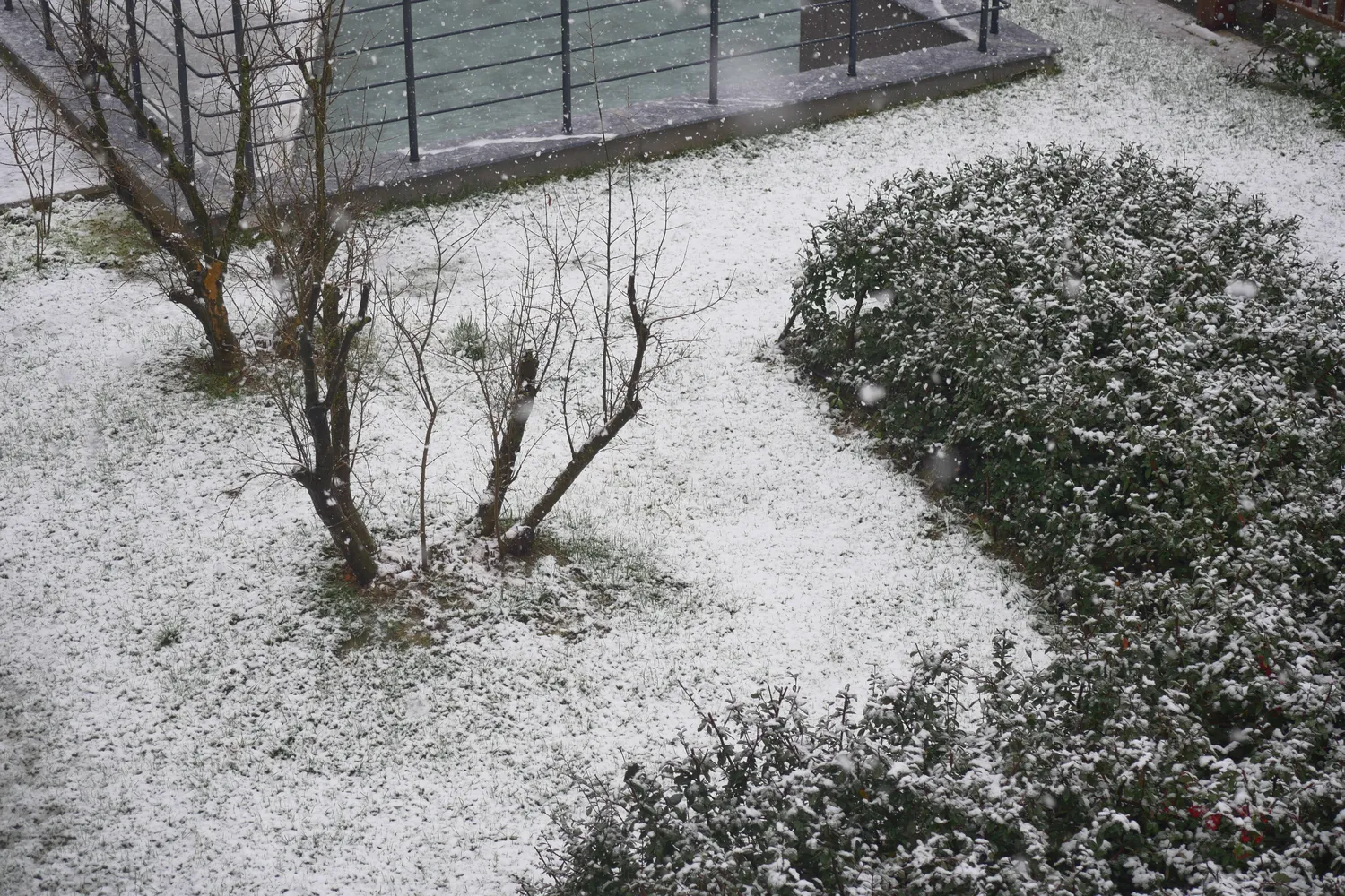 Jūsų sodas žiemą