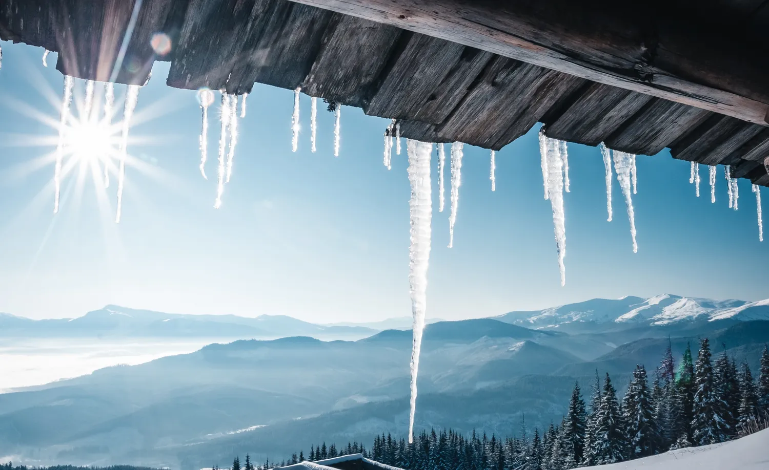 Sausio mėnesį sulauksime rimtų šalčių