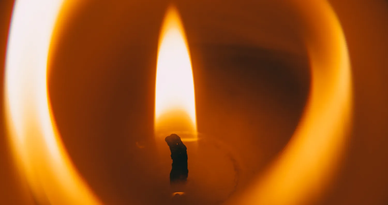 Shutterstock 2669611097