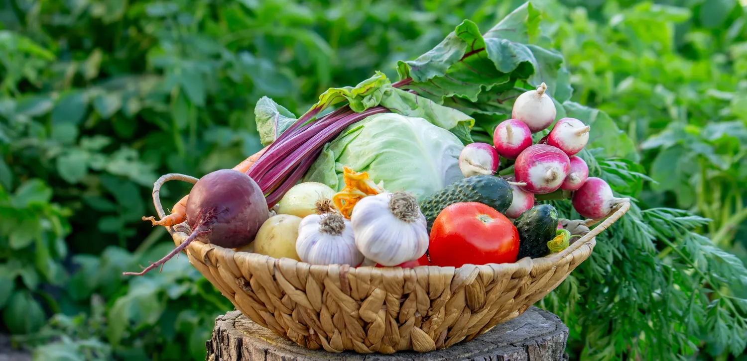 Tinkamai pasirinkti "kaimynai" gali padėti augalams augti stipresniems, sveikesniems ir duoti gausesnį derlių