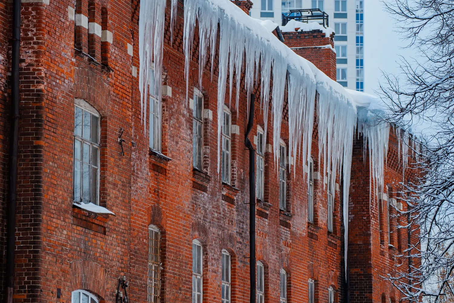 Varvekliai ant stogų