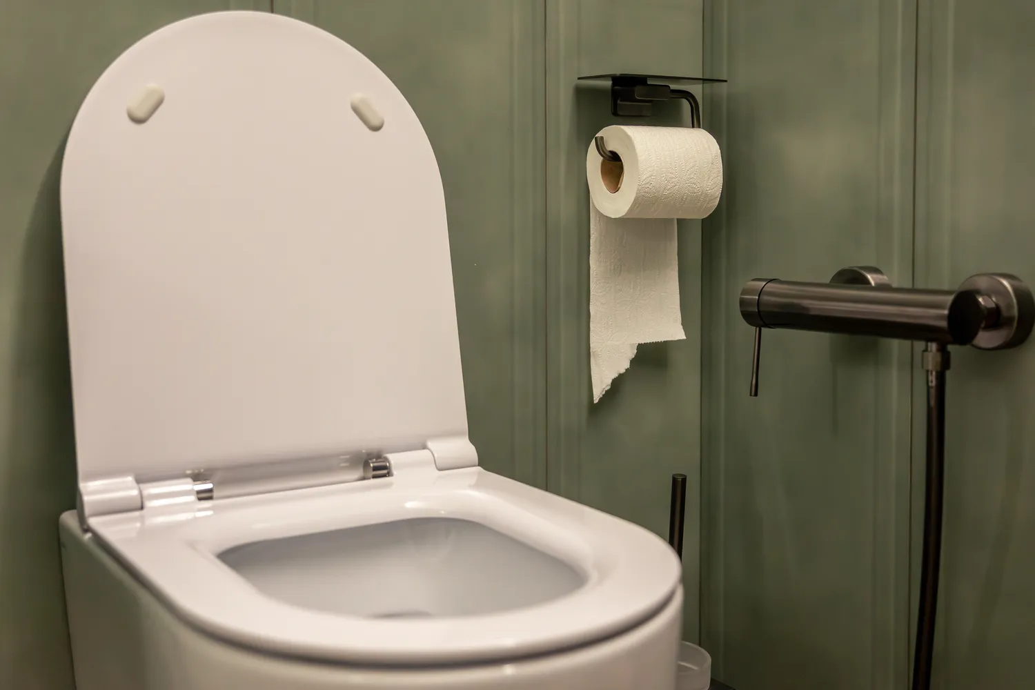 Vis daugiau žmonių atsisako tualetinių popierių