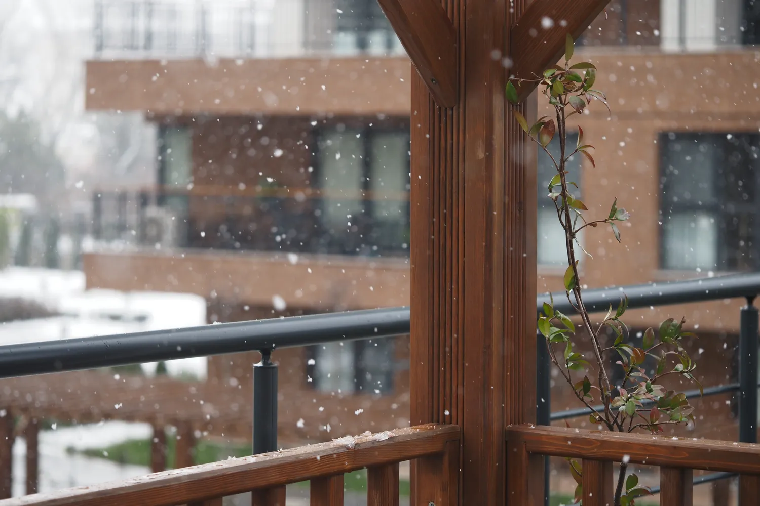 Šiek tiek atšils ir pasirodys sniegas