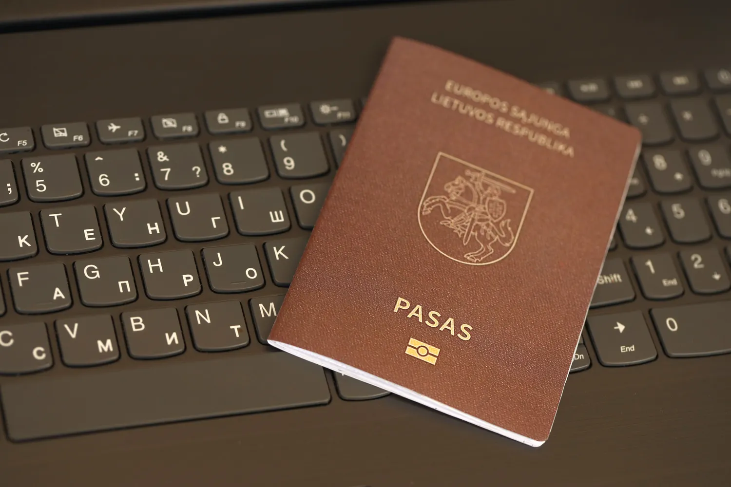 Lietuviškas pasas vienas galingiausių pasaulyje