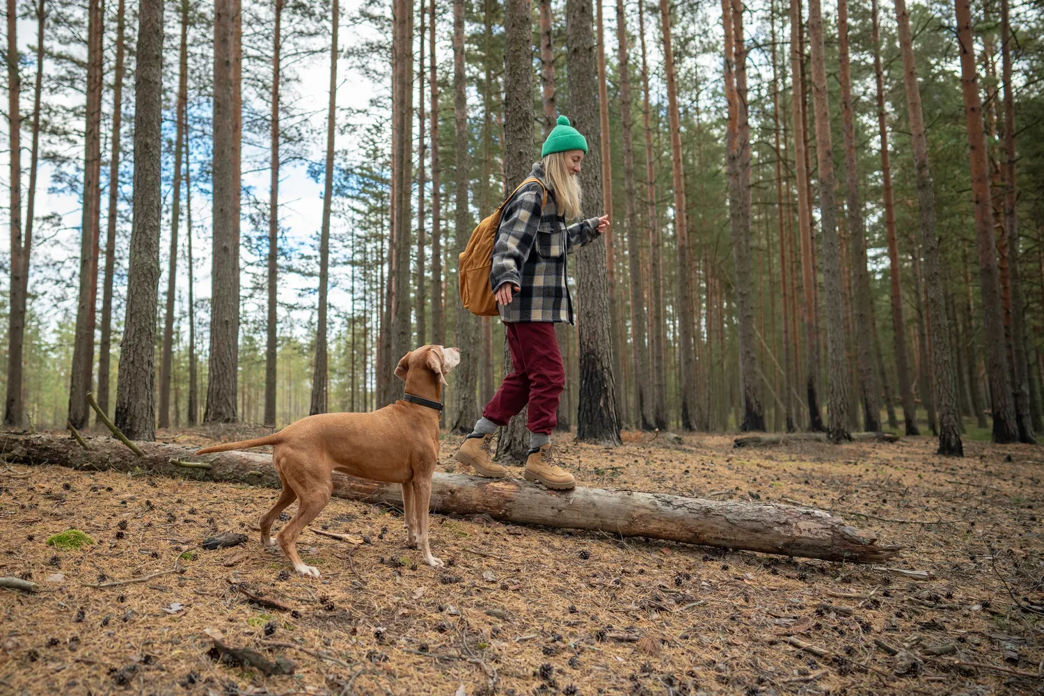 Kiek žingsnių reikia nueiti per dieną?